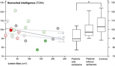 Non-verbal Intelligence in Unilateral Perinatal Stroke Patients With and Without Epilepsies